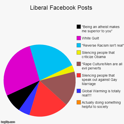 Liberal Facebook Posts | Actually doing something helpful to society, Global Warming is totally real!!!, Silencing people that speak out aga | image tagged in funny,pie charts | made w/ Imgflip chart maker