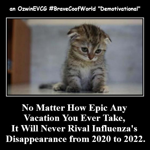 an OzwinEVCG #BraveCoofWorld "Demotivational" | an OzwinEVCG #BraveCoofWorld "Demotivational" | No Matter How Epic Any 

Vacation You Ever Take, 

It Will Never Rival Influenza's 

Disappe | image tagged in funny,demotivationals,covid-19,influenza,brave coof world,coofacaust classics | made w/ Imgflip demotivational maker