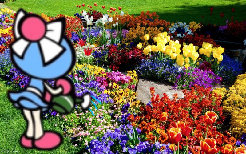 Aqua Bomber watering a flower garden.mp3 | image tagged in aqua bomber | made w/ Imgflip meme maker