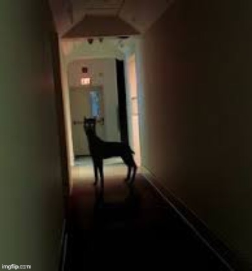 Little cutie | made w/ Imgflip meme maker