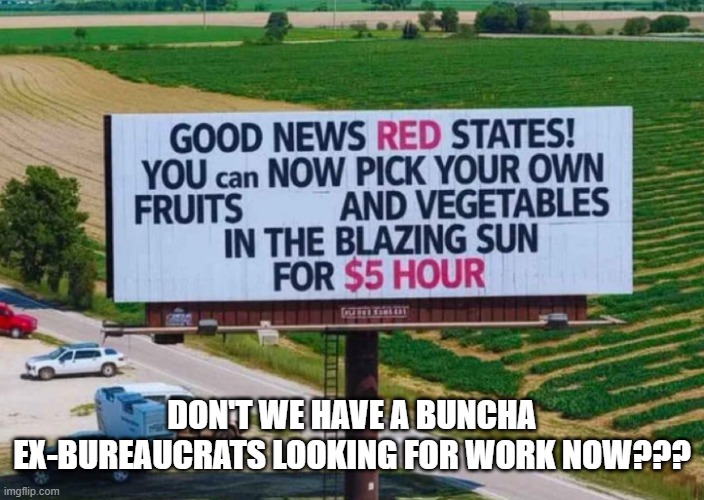 DON'T WE HAVE A BUNCHA EX-BUREAUCRATS LOOKING FOR WORK NOW??? | made w/ Imgflip meme maker