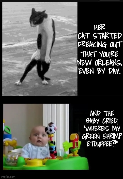 HER CAT STARTED FREAKING OUT AND THE BABY CRIED, "WHERE'S MY GREEN SHRIMP ETOUFFEE?!" THAT YOU'RE NEW ORLEANS, EVEN BY DAY. | made w/ Imgflip meme maker