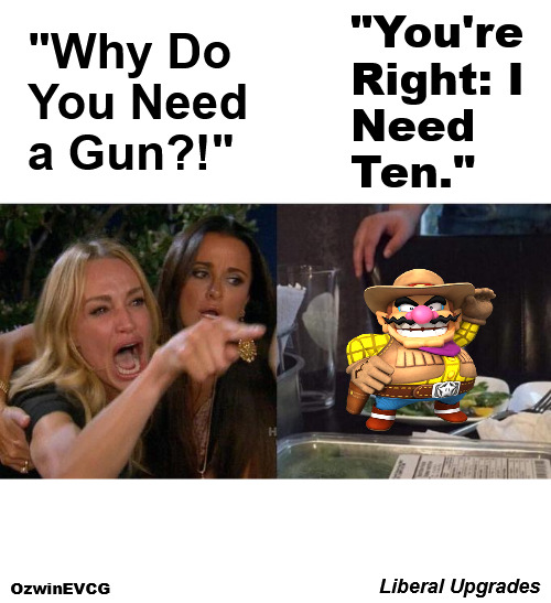 Liberal Upgrades | "You're 

Right: I 

Need 

Ten."; "Why Do 

You Need 

a Gun?!"; Liberal Upgrades; OzwinEVCG | image tagged in memes,woman yelling at cat,political humor,guns,wario,civilized discussion | made w/ Imgflip meme maker