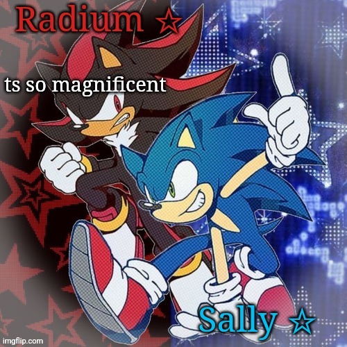 Radium and Sally temp | ts so magnificent | image tagged in radium and sally temp | made w/ Imgflip meme maker