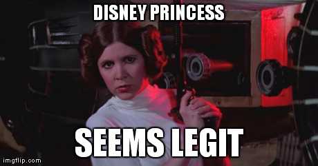 DISNEY PRINCESS SEEMS LEGIT | image tagged in princess leia | made w/ Imgflip meme maker