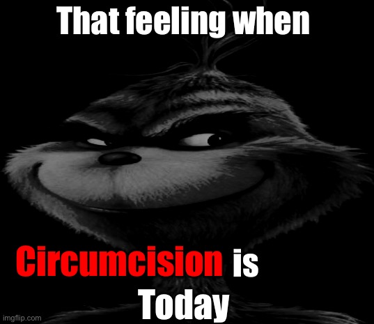 That feeling when circumcision is today | That feeling when; is; Circumcision; Today | image tagged in blue grinch,that feeling when,circumcision,is,today | made w/ Imgflip meme maker