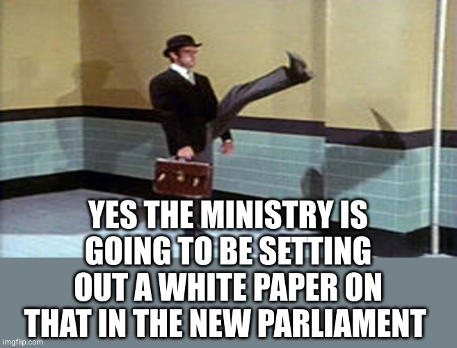 Ministry of Silly Walks | YES THE MINISTRY IS GOING TO BE SETTING OUT A WHITE PAPER ON THAT IN THE NEW PARLIAMENT | image tagged in ministry of silly walks | made w/ Imgflip meme maker