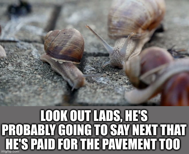 Snails on wet pavement | LOOK OUT LADS, HE'S PROBABLY GOING TO SAY NEXT THAT HE'S PAID FOR THE PAVEMENT TOO | image tagged in snails on wet pavement | made w/ Imgflip meme maker