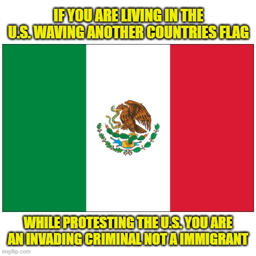 Invaders not wanted | IF YOU ARE LIVING IN THE U.S. WAVING ANOTHER COUNTRIES FLAG; WHILE PROTESTING THE U.S. YOU ARE
AN INVADING CRIMINAL NOT A IMMIGRANT | image tagged in protesters,protest,maga,mexico,tariffs,ice | made w/ Imgflip meme maker