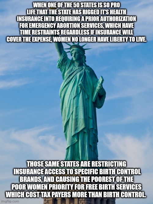 statue of liberty | WHEN ONE OF THE 50 STATES IS SO PRO LIFE THAT THE STATE HAS RIGGED IT'S HEALTH INSURANCE INTO REQUIRING A PRIOR AUTHORIZATION FOR EMERGENCY ABORTION SERVICES, WHICH HAVE TIME RESTRAINTS REGARDLESS IF INSURANCE WILL COVER THE EXPENSE, WOMEN NO LONGER HAVE LIBERTY TO LIVE. THOSE SAME STATES ARE RESTRICTING  INSURANCE ACCESS TO SPECIFIC BIRTH CONTROL BRANDS, AND CAUSING THE POOREST OF THE POOR WOMEN PRIORITY FOR FREE BIRTH SERVICES WHICH COST TAX PAYERS MORE THAN BIRTH CONTROL. | image tagged in statue of liberty | made w/ Imgflip meme maker