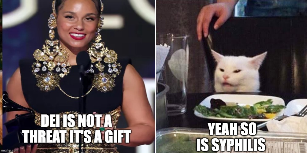 Alicia Keys At grammys | YEAH SO IS SYPHILIS; DEI IS NOT A THREAT IT'S A GIFT | image tagged in smudge the cat | made w/ Imgflip meme maker