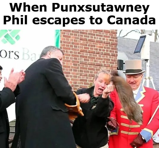 When Punxsutawney Phil escapes to Canada | made w/ Imgflip meme maker