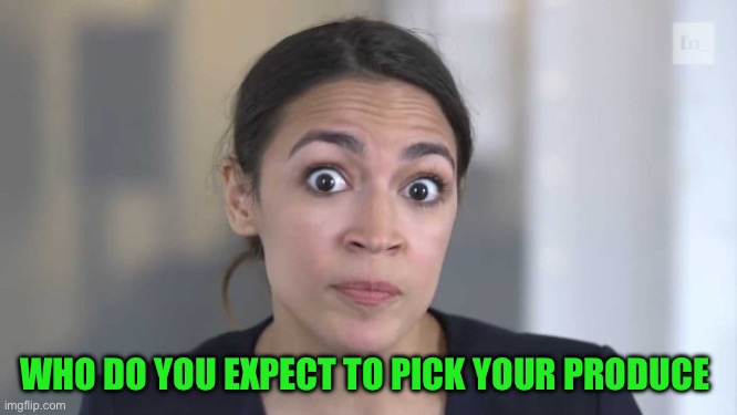 Crazy Alexandria Ocasio-Cortez | WHO DO YOU EXPECT TO PICK YOUR PRODUCE | image tagged in crazy alexandria ocasio-cortez | made w/ Imgflip meme maker