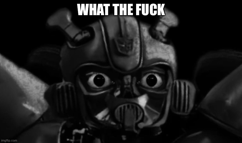 Shocked bumblebee | WHAT THE FUCK | image tagged in shocked bumblebee | made w/ Imgflip meme maker