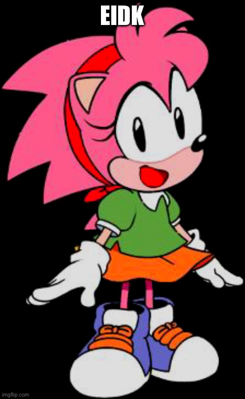 Classic Amy Rose aka Rosy the Rascal | EIDK | image tagged in classic amy rose aka rosy the rascal | made w/ Imgflip meme maker