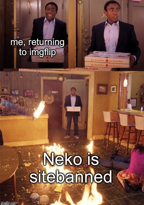 my best friend :( | me, returning to imgflip; Neko is sitebanned | image tagged in surprised pizza delivery | made w/ Imgflip meme maker