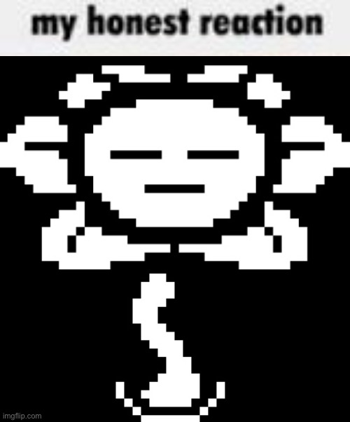 Flowey’s honest reaction Blank Meme Template