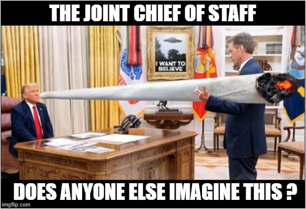 A Strange Job Title ? | THE JOINT CHIEF OF STAFF; DOES ANYONE ELSE IMAGINE THIS ? | image tagged in white house,joint,dark humour | made w/ Imgflip meme maker