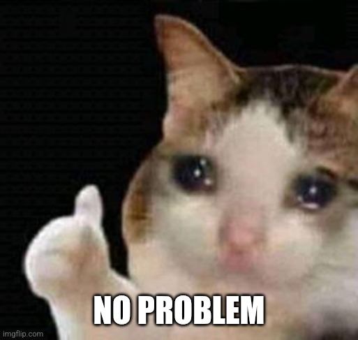 sad thumbs up cat | NO PROBLEM | image tagged in sad thumbs up cat | made w/ Imgflip meme maker