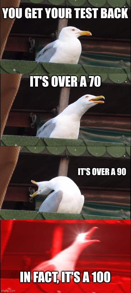 You also get the proud feeling of bragging rights | YOU GET YOUR TEST BACK; IT'S OVER A 70; IT'S OVER A 90; IN FACT, IT'S A 100 | image tagged in memes,inhaling seagull | made w/ Imgflip meme maker