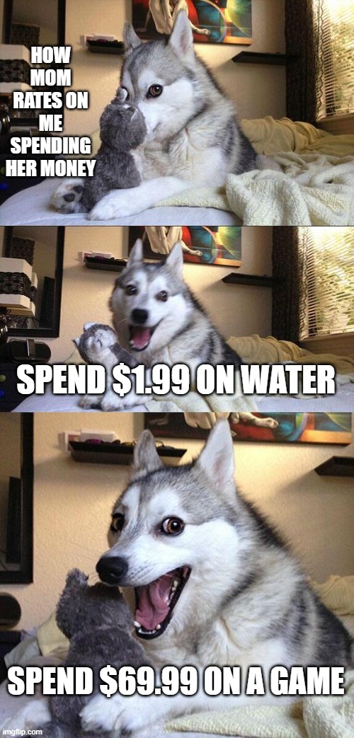 Bad Pun Dog | HOW MOM RATES ON ME SPENDING HER MONEY; SPEND $1.99 ON WATER; SPEND $69.99 ON A GAME | image tagged in memes,bad pun dog | made w/ Imgflip meme maker