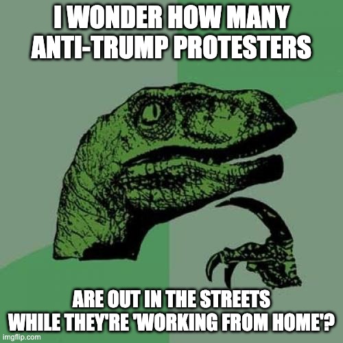 Never Underestimate the Villainy of the Obama-Biden Deep State | I WONDER HOW MANY ANTI-TRUMP PROTESTERS; ARE OUT IN THE STREETS WHILE THEY'RE 'WORKING FROM HOME'? | image tagged in memes,philosoraptor | made w/ Imgflip meme maker