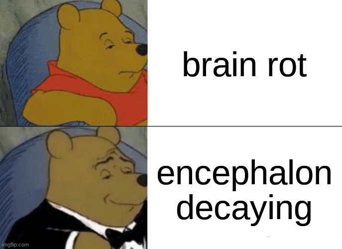 Tuxedo Winnie The Pooh Meme | brain rot; encephalon decaying | image tagged in memes,tuxedo winnie the pooh | made w/ Imgflip meme maker