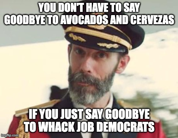 Captain Obvious | YOU DON'T HAVE TO SAY GOODBYE TO AVOCADOS AND CERVEZAS; IF YOU JUST SAY GOODBYE TO WHACK JOB DEMOCRATS | image tagged in captain obvious | made w/ Imgflip meme maker