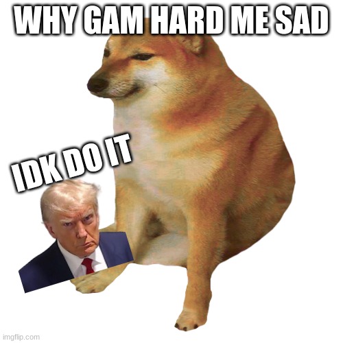 cheems | WHY GAM HARD ME SAD; IDK DO IT | image tagged in cheems | made w/ Imgflip meme maker