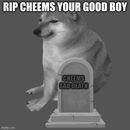 cheems | RIP CHEEMS YOUR GOOD BOY; CHEEMS SAD DEATH | image tagged in cheems | made w/ Imgflip meme maker