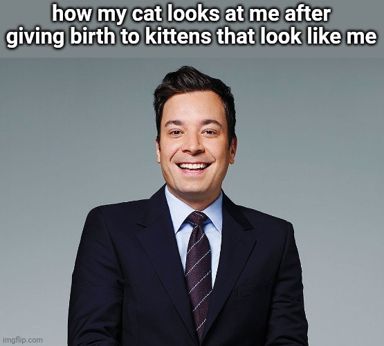 jimmy fallon | how my cat looks at me after giving birth to kittens that look like me | image tagged in jimmy fallon | made w/ Imgflip meme maker