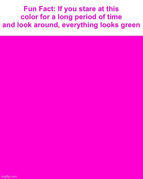 Click on the Image to see the image fully (make sure it covers your screen, and you have your screen brightness up) | Fun Fact: If you stare at this color for a long period of time and look around, everything looks green | image tagged in blank hot pink background | made w/ Imgflip meme maker