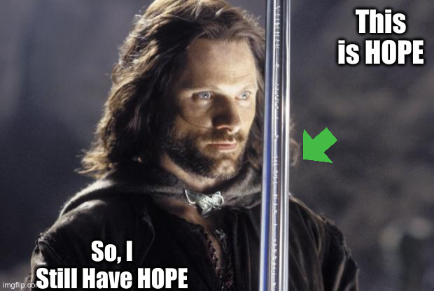 aragorn with sword | This is HOPE So, I Still Have HOPE | image tagged in aragorn with sword | made w/ Imgflip meme maker