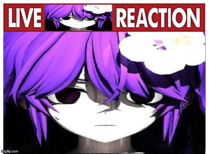 image tagged in live reaction,my honest reaction | made w/ Imgflip meme maker