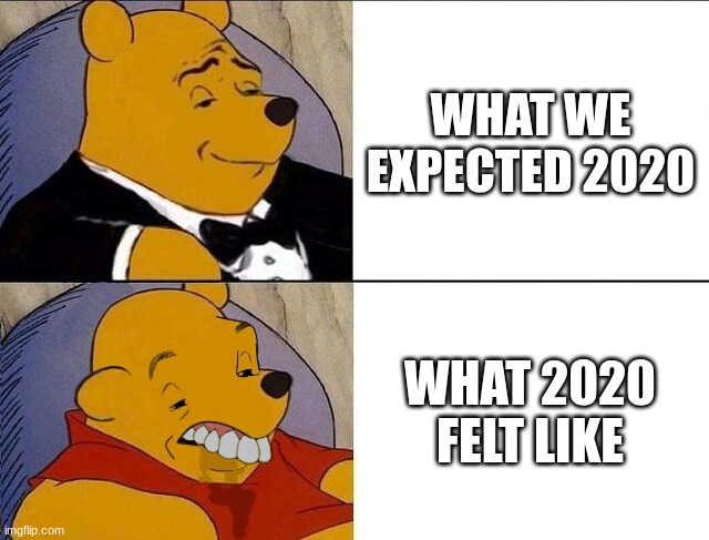 Real | WHAT WE EXPECTED 2020; WHAT 2020 FELT LIKE | image tagged in tuxedo winnie the pooh grossed reverse | made w/ Imgflip meme maker