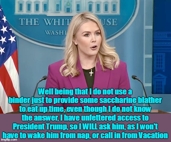 All this, and she's NOT even Black, OR a Lesbian ! | Well being that I do not use a binder just to provide some saccharine blather to eat up time, even though I do not know the answer, I have unfettered access to President Trump, so I WILL ask him, as I won't have to wake him from nap, or call in from Vacation | image tagged in karoline schools reporters meme | made w/ Imgflip meme maker