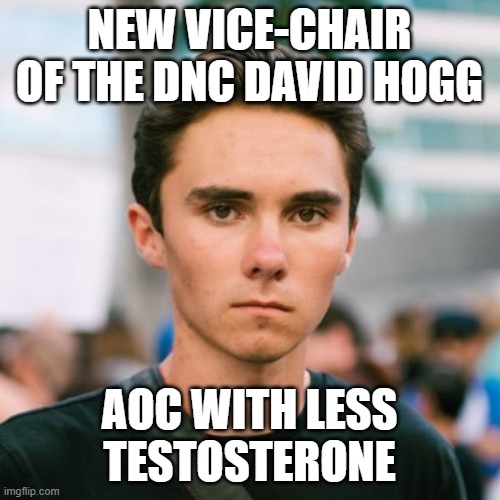 douche | NEW VICE-CHAIR OF THE DNC DAVID HOGG; AOC WITH LESS TESTOSTERONE | image tagged in david hogg | made w/ Imgflip meme maker