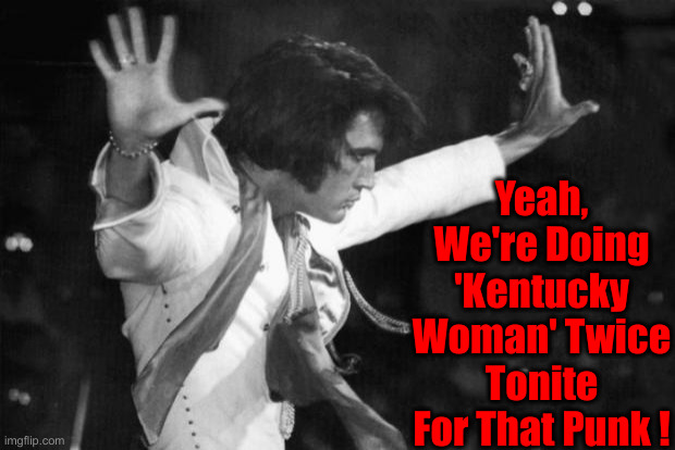 elvis stop | Yeah, We're Doing 'Kentucky Woman' Twice Tonite For That Punk ! | image tagged in elvis stop | made w/ Imgflip meme maker