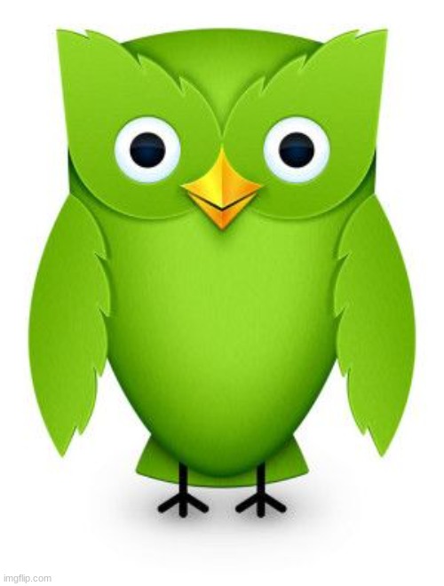 2012 Duolingo Owl | image tagged in 2012 duolingo owl | made w/ Imgflip meme maker