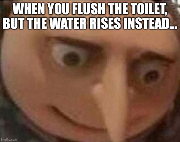 gru meme | WHEN YOU FLUSH THE TOILET, BUT THE WATER RISES INSTEAD... | image tagged in gru meme | made w/ Imgflip meme maker