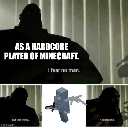 these things will give me a heart attack in minecraft hardcore | AS A HARDCORE PLAYER OF MINECRAFT. | image tagged in i fear no man | made w/ Imgflip meme maker