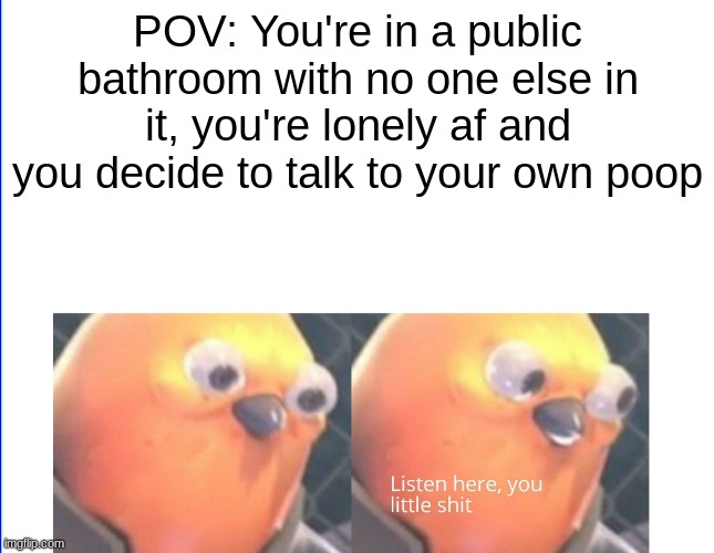 If the toilet isn't automatic then go right ahead | POV: You're in a public bathroom with no one else in it, you're lonely af and you decide to talk to your own poop | image tagged in listen here you little shit | made w/ Imgflip meme maker