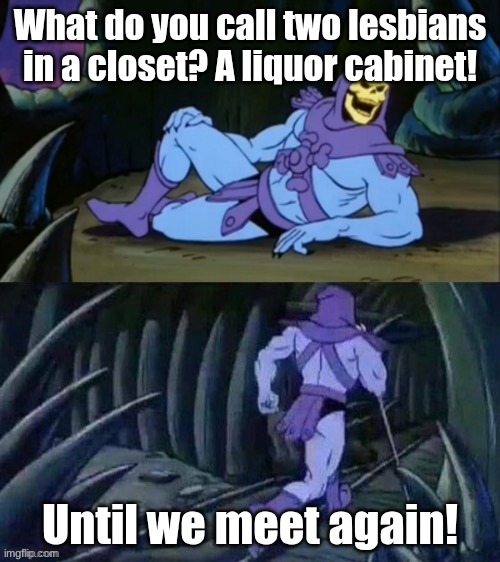 Dark Humor With Skeletor | What do you call two lesbians in a closet? A liquor cabinet! Until we meet again! | image tagged in skeletor disturbing facts | made w/ Imgflip meme maker