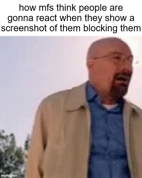 how mfs think people are gonna react when they show a screenshot of them blocking them | made w/ Imgflip meme maker