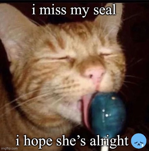 silly goober 2 | i miss my seal; i hope she’s alright | image tagged in silly goober 2 | made w/ Imgflip meme maker