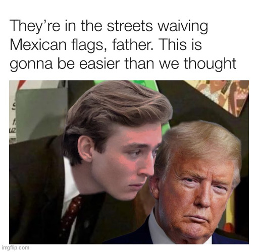 9j17di.jpg