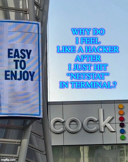 Easy to enjoy cock | WHY DO I FEEL LIKE A HACKER AFTER I JUST HIT “NETSTAT” IN TERMINAL? | image tagged in easy to enjoy cock | made w/ Imgflip meme maker