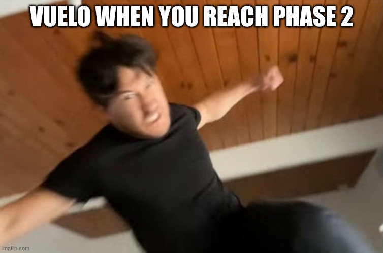 A Hard Scratch RPG AYS(or is it?) | VUELO WHEN YOU REACH PHASE 2 | image tagged in markiplier punch | made w/ Imgflip meme maker