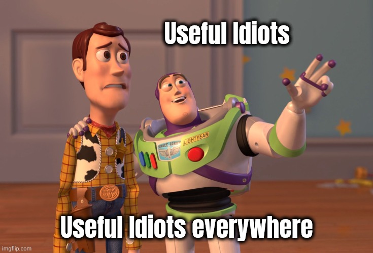 X, X Everywhere Meme | Useful Idiots Useful Idiots everywhere | image tagged in memes,x x everywhere | made w/ Imgflip meme maker