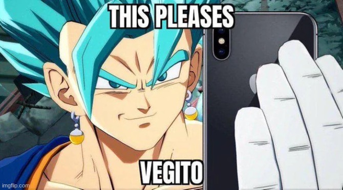 This pleases Vegito | image tagged in this pleases vegito | made w/ Imgflip meme maker